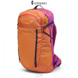 Cotopaxi Lagos 25L Hydration Pack Mezcal/Foxglove | YW54-P7-LD