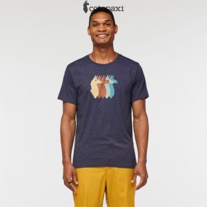 Cotopaxi Llama Sequence T-Shirt Maritime | WZ54-L3-RI