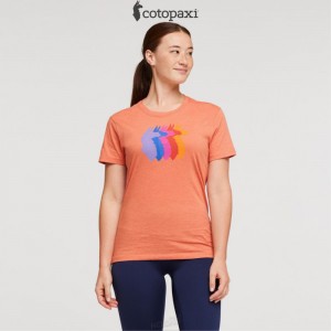 Cotopaxi Llama Sequence T-Shirt Nectar | IV59-A1-JH