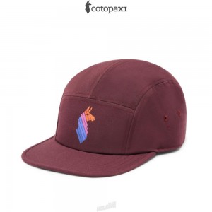 Cotopaxi Llama Stripes 5-Panel Hat Wine | AJ75-V0-NM