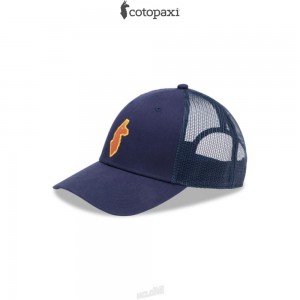 Cotopaxi Llama Trucker Hat Maritime | RX72-I6-QM