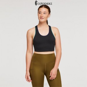 Cotopaxi Mari Crop Top Black | OZ43-A4-KY