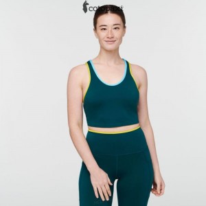 Cotopaxi Mari Crop Top Deep Ocean | AJ67-T9-AY