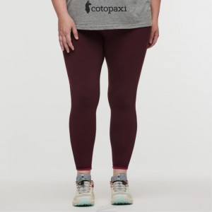 Cotopaxi Mari Tight Wine | EG56-I4-KE