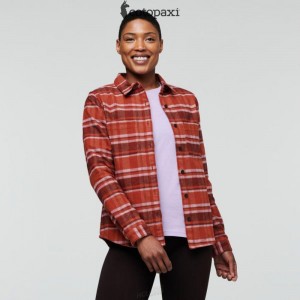 Cotopaxi Mero Organic Flannel Shirt Spice Plaid | ON05-E5-GT