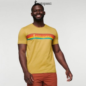 Cotopaxi On The Horizon T-Shirt Pine | SE91-Y2-CX