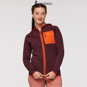 Cotopaxi Otero Fleece Full-Zip Hooded Jacket Wine | DK72-A9-PI