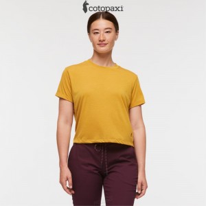 Cotopaxi Paseo Travel Crop T-Shirt Amber | MU96-I1-FN