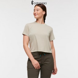 Cotopaxi Paseo Travel Crop T-Shirt Pebble | DH11-W4-VB