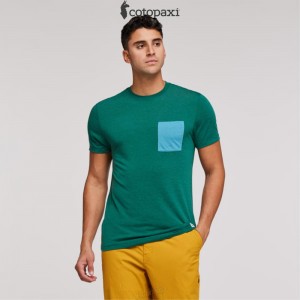 Cotopaxi Paseo Travel Pocket T-Shirt Greenery | LX45-H4-UL