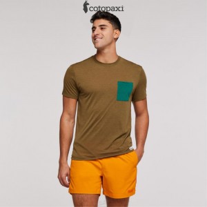 Cotopaxi Paseo Travel Pocket T-Shirt Oak | PP65-Z3-EG