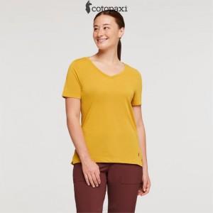 Cotopaxi Paseo Travel T-Shirt Amber | JF26-W6-TJ