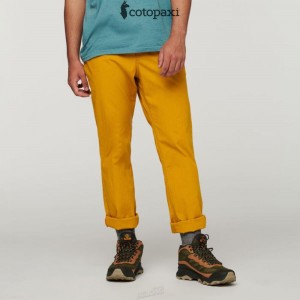 Cotopaxi Salto Ripstop Pant Amber | EA34-I2-BZ