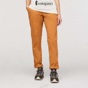 Cotopaxi Salto Ripstop Pant Saddle | RM87-T2-ZD