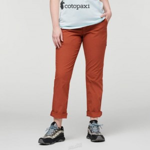 Cotopaxi Salto Ripstop Pant Spice | FQ27-K8-CV