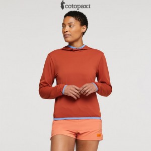 Cotopaxi Sombra Sun Hoodie Spice | OV43-Z9-JT