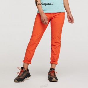 Cotopaxi Subo Pant Canyon | BP42-C5-LM