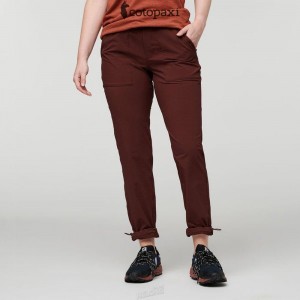 Cotopaxi Subo Pant Chestnut | ZZ04-S2-GL