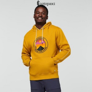 Cotopaxi Sunny Side Pullover Hoodie Amber | HU87-V1-EG