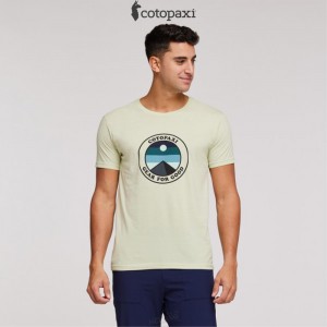 Cotopaxi Sunny Side T-Shirt Lichen | ZN80-A3-HI