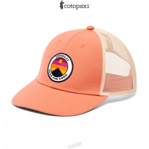 Cotopaxi Sunny Side Trucker Hat Nectar | SH45-T3-ZZ