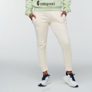 Cotopaxi Sweatpant Bone | DJ59-N0-OA