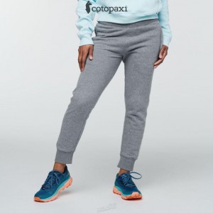 Cotopaxi Sweatpant Heather Grey | XJ95-L5-QM