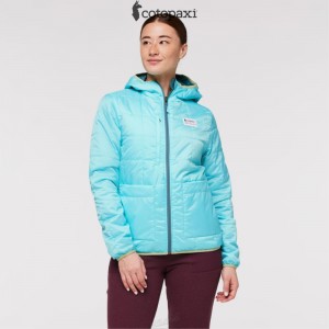 Cotopaxi Teca Cálido Hooded Jacket Blue Algae | DB19-Q3-IF