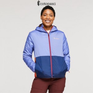 Cotopaxi Teca Cálido Hooded Jacket Honeybee | YW76-B2-LP