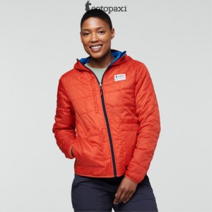 Cotopaxi Teca Cálido Hooded Jacket Rocket Science | QF64-D8-JT