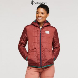 Cotopaxi Teca Cálido Hooded Jacket Spicy Sweet | YY31-L9-EB