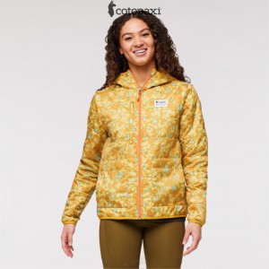 Cotopaxi Teca Cálido Hooded Jacket - Print Eat Wheat | JB14-F9-FC