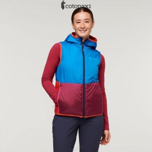 Cotopaxi Teca Cálido Hooded Vest Provence | EL84-H2-RC