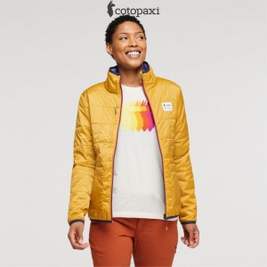 Cotopaxi Teca Cálido Jacket Honeybee | RF77-Q0-FV