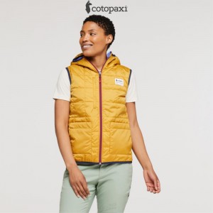 Cotopaxi Teca Cálido Reversible Hooded Vest Honeybee | WW83-V6-FC