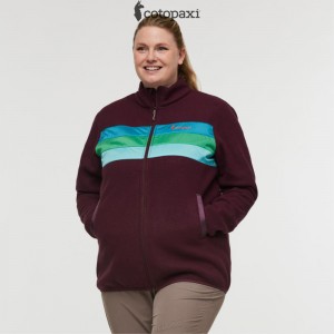 Cotopaxi Teca Fleece Full-Zip Jacket Night Fall | AY38-P2-EL