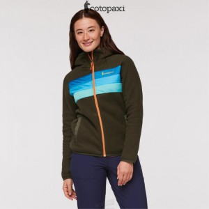 Cotopaxi Teca Fleece Hooded Full-Zip Jacket Hidden Lake | CT71-D7-ED