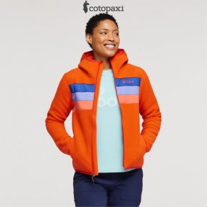 Cotopaxi Teca Fleece Hooded Full-Zip Jacket Feverish | EZ98-I5-JY