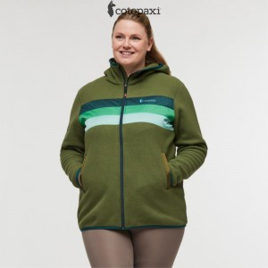 Cotopaxi Teca Fleece Hooded Full-Zip Jacket Squirrel | XL76-M0-GZ