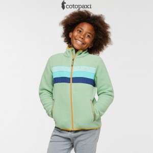 Cotopaxi Teca Fleece Jacket Fresh Air | LQ85-B9-AO