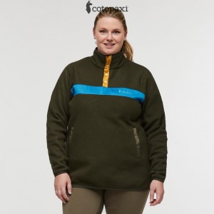 Cotopaxi Teca Fleece Pullover Pine Tree | IN47-S7-EC