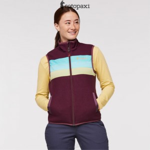 Cotopaxi Teca Fleece Vest Moon Beam | HH25-X0-BH