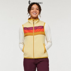 Cotopaxi Teca Fleece Vest Star Light | OI63-H6-FZ