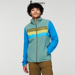 Cotopaxi Teca Fleece Vest Walk About | LW85-N2-JT