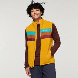 Cotopaxi Teca Fleece Vest Wyoming | NE87-O1-JG