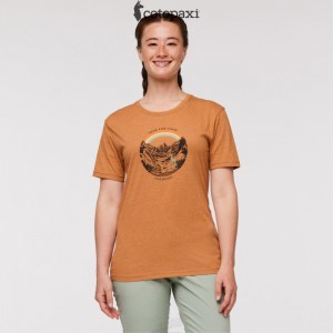 Cotopaxi Traveling Llama T-Shirt Saddle | BN37-K6-IR