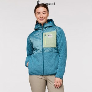 Cotopaxi Trico Hybrid Jacket Blue Spruce/Drizzle | QJ61-G9-LF