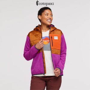 Cotopaxi Trico Hybrid Jacket Mezcal/Foxglove | HR20-K9-SN