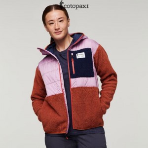 Cotopaxi Trico Hybrid Jacket Thistle/Spice | ZF81-A1-UZ