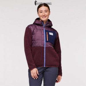 Cotopaxi Trico Hybrid Jacket Wine | CH36-O1-QG